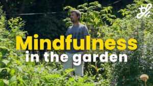 Read more about the article How Gardening Transforms Your Mental Well-Being