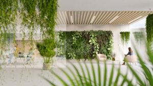 Read more about the article Sustainable Structures: Exploring Green Building Techniques in Modern Architecture