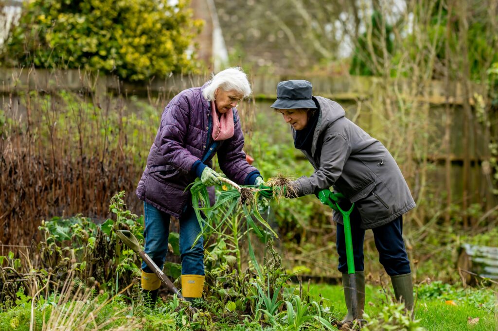 Two old woman happy gardening