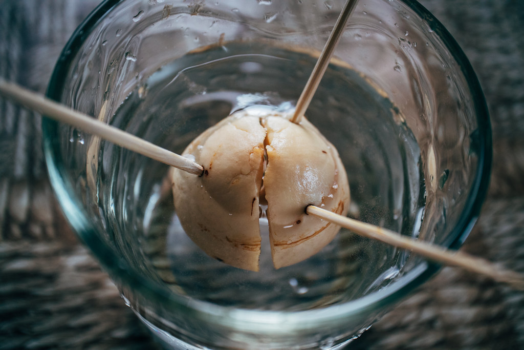 How to Plant Avocado Seed Avocado seed in water using toothpick